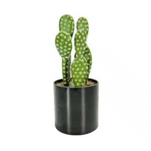 Plante Artificielle – avec pot en plastique – 27 X 10.5 Cm 2 Plante Artificielle – avec pot en plastique – 27 X 10.5 Cm