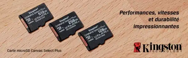 Kingston Canvas Select Plus Carte MIcro SD SDCS2/64GB Class 10 + Adaptateur inclus